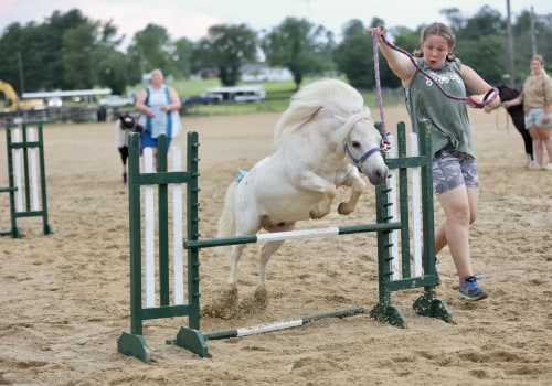 The Exciting World of Sports and Fitness at Festivals in Monmouth County, New Jersey